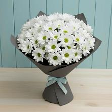 Букет цветов из:  Хризантемы #REPLACE_PRED# Курьяново