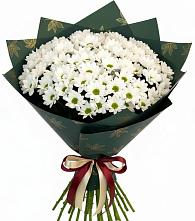 Букет цветов из:  Хризантемы #REPLACE_PRED# Курьяново