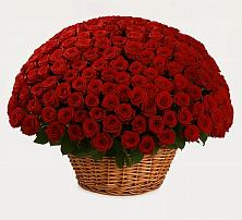 Премиум букет из: Розы в Курьяново