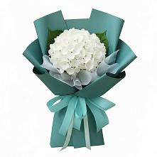 Букет цветов из:  Гортензия #REPLACE_PRED# Курьяново